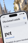 Petsolt, it’s a Catalan Name?