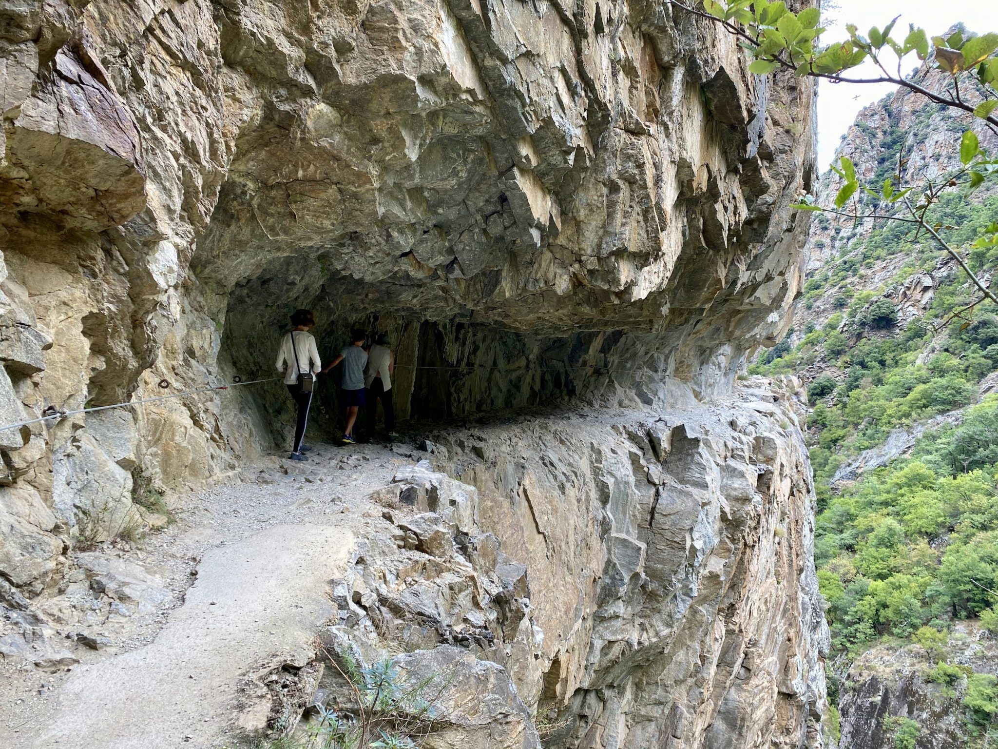 8 from the Pyrenees