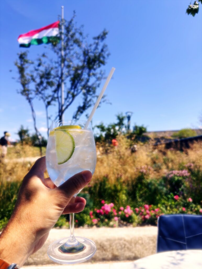 2026-08- Budapest Cams 18th - 5 of 8 - Petsolt Family Hand holding a stemmed glass with lemon slices in a sunny outdoor setting; blurred flag in the distance.